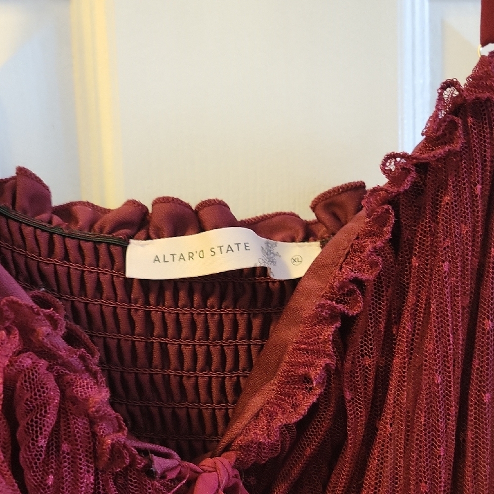 Elegant Burgundy Tulle Dress - Picture 3 of 4